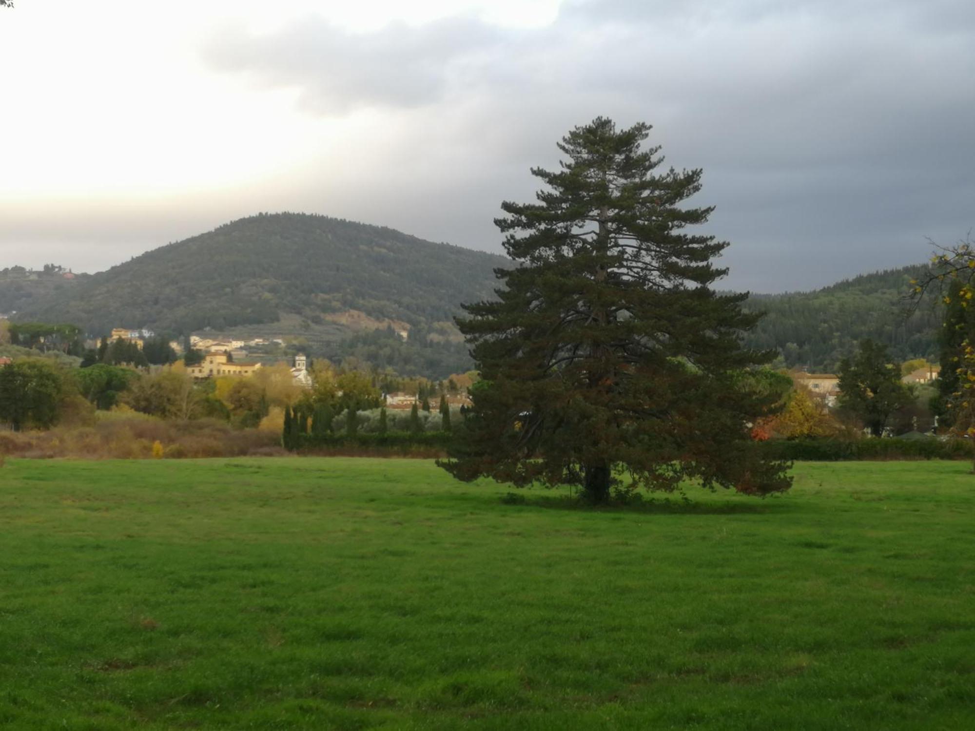 Open Space Nel Parco Con Parcheggio Gratuito Appartamento *